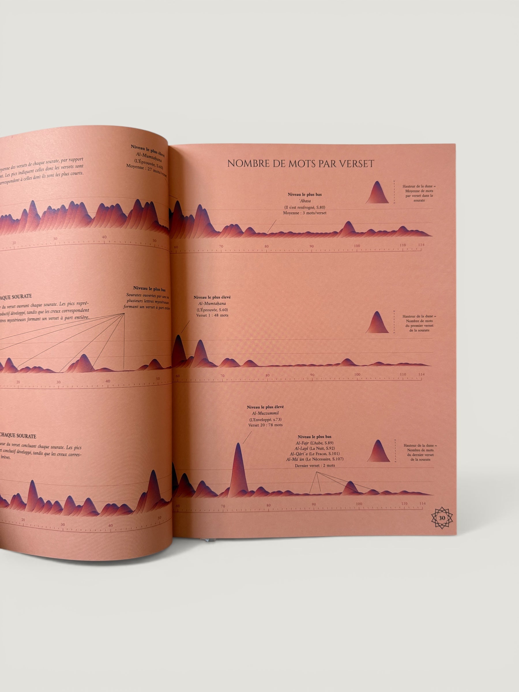 Infographie du Saint Coran
