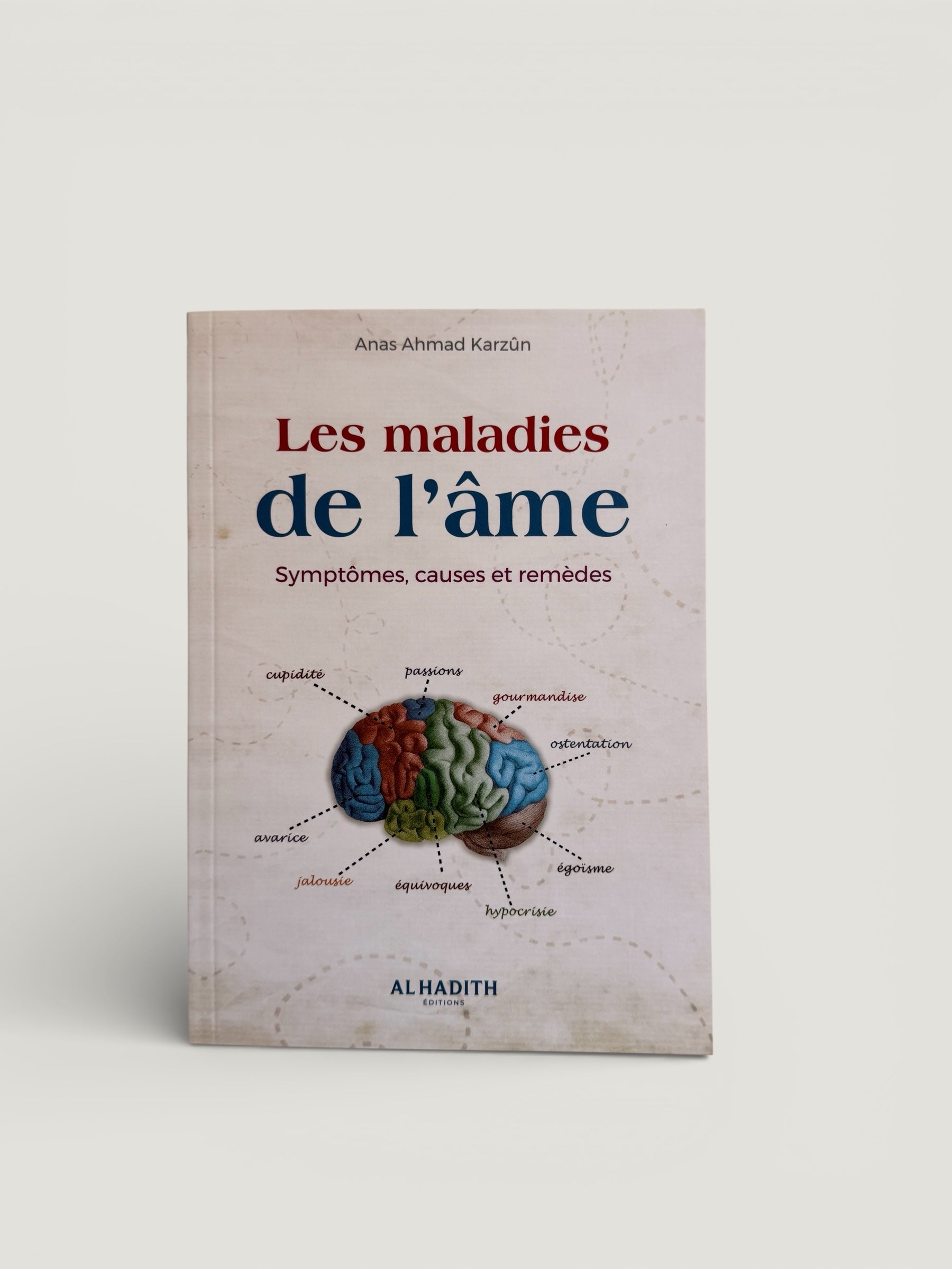 Les maladies de l’âme