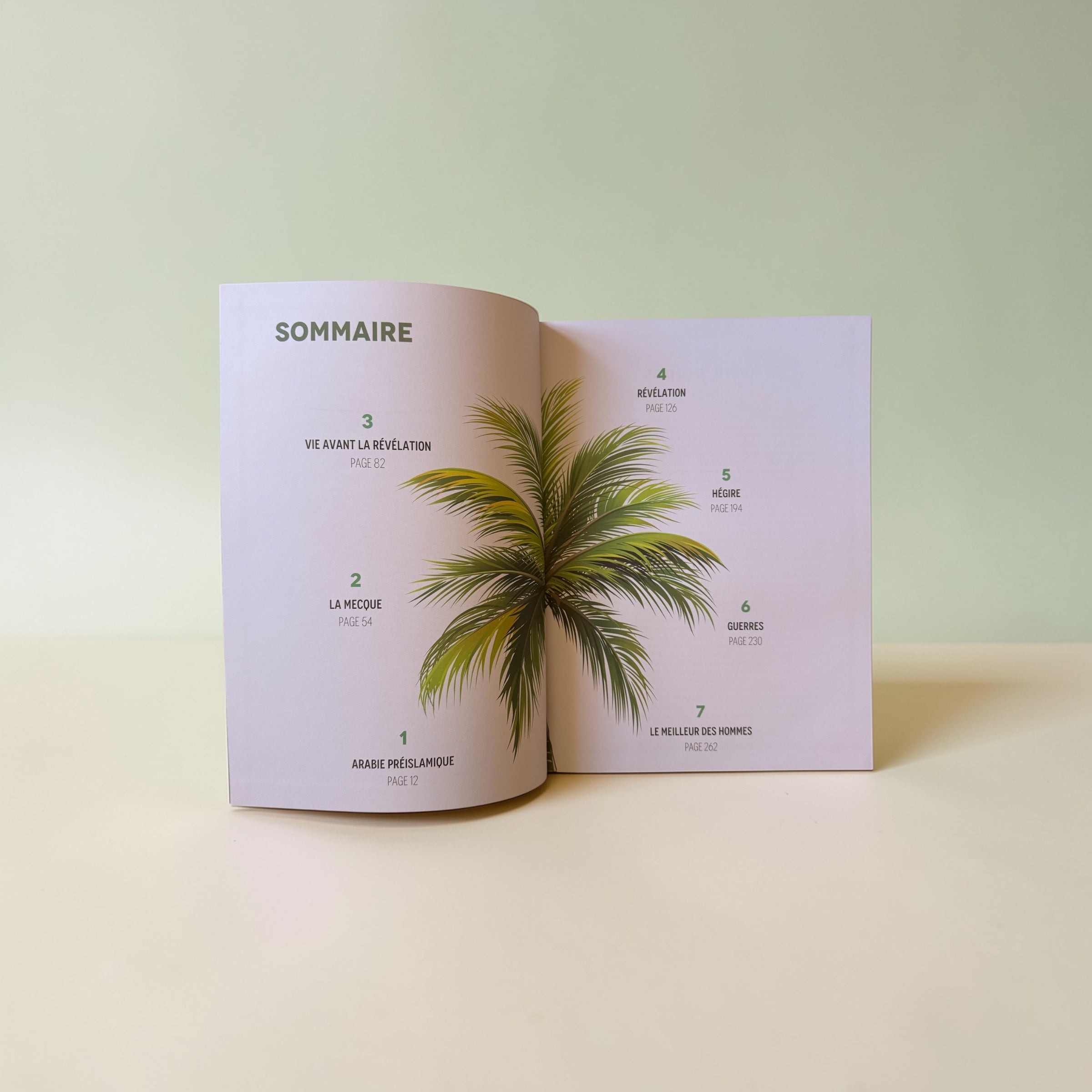 Infographie de la vie du Prophète Muhammad